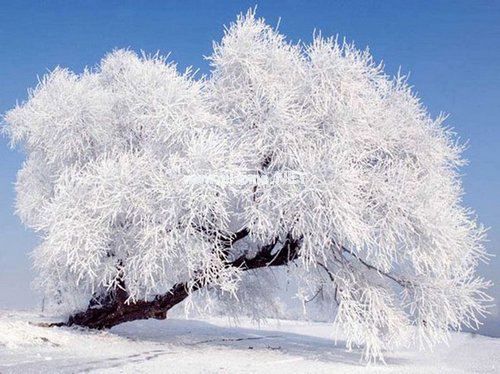 师德师风自查报告800字范文5篇