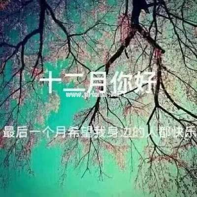 2022师德师风自查自纠个人报告范文（10篇）