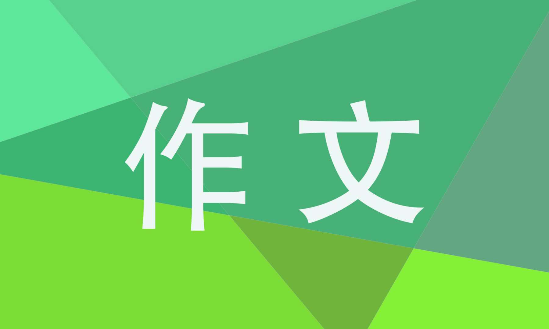 六年级森林防火优秀作文600字5篇