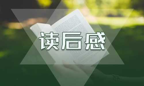 600字《三国演义》的读后感赏析小学