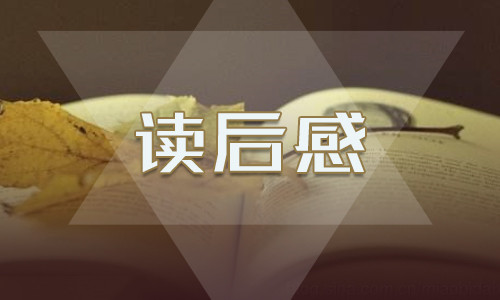 五年级《白夜行》读后感600字