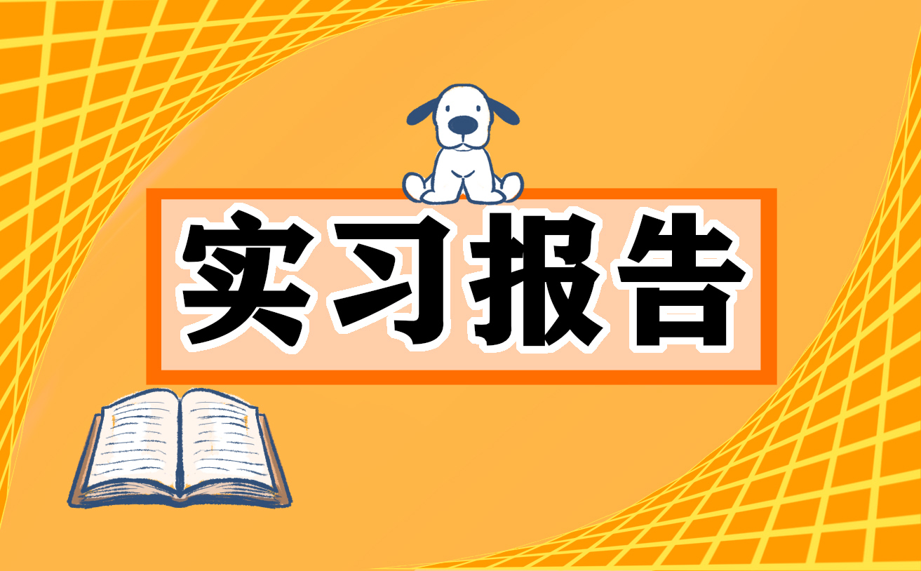 大学毕业生个人岗位实习报告模板6篇