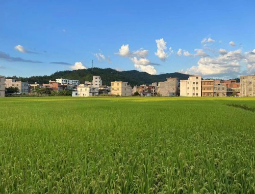 2020小学生秋季运动会最新加油稿