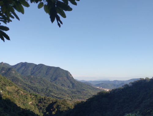 教师节写给老师的感谢信7篇模板