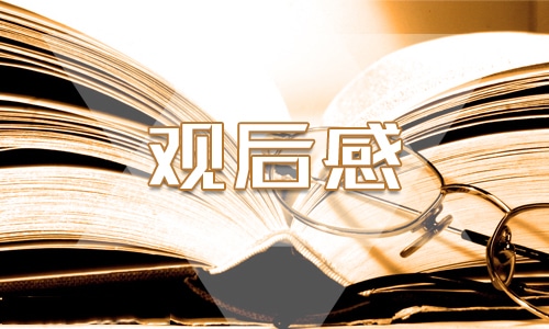 2023小学生开学第一课观后感400字左右7篇