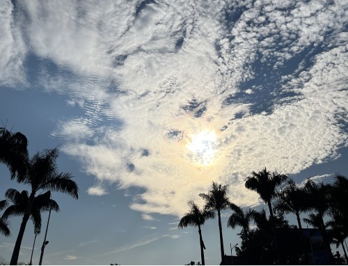 宾夕法尼亚大学留学学费2022_宾夕法尼亚大学教学资源