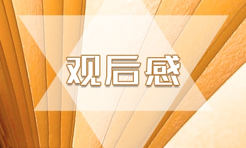 《大鱼海棠》国产电影观后感300字