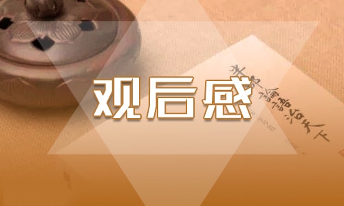 观《集结号》的个人观后感300字