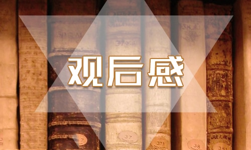 观《摔跤吧！爸爸》观后感范文400字7篇