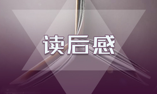 2023六年级海底两万里读后感400字以上【精选7篇】