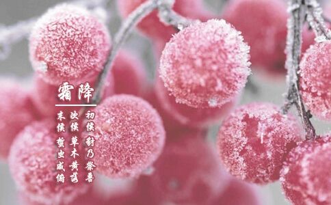 2019打霜时的气候特点_霜降时节吃什么食物好