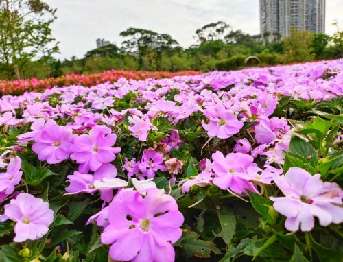 端午节的历史传说及习俗